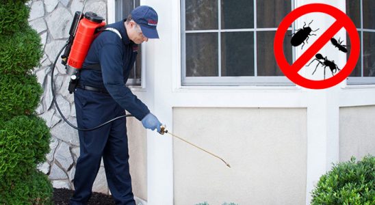 Eğirdir Akrep İlaçlama böcek ilaçlama ve haşere kontrolü — ilaclama-tr.com